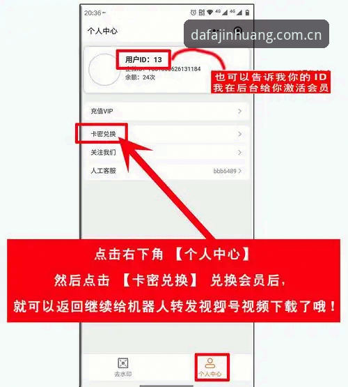 达发黄金体育App使用教程：从下载到畅玩的完整操作指南